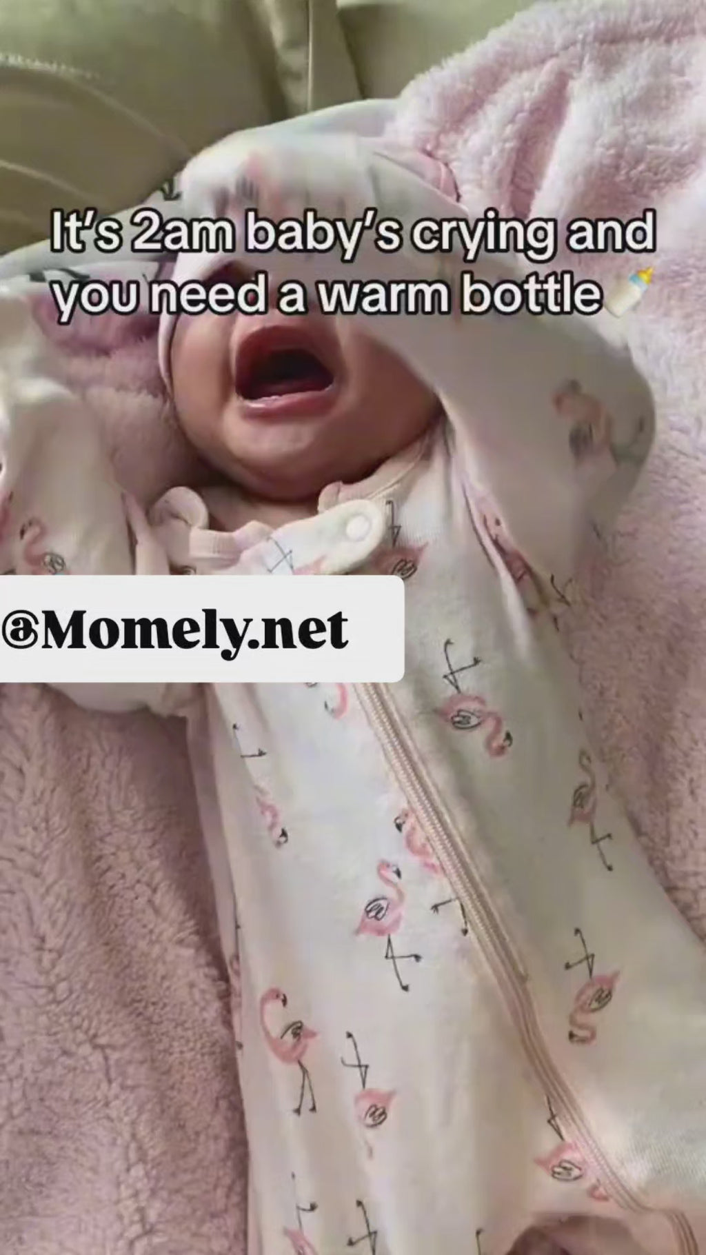 Warm Milk in Minutes, Peace of Mind Everywhere