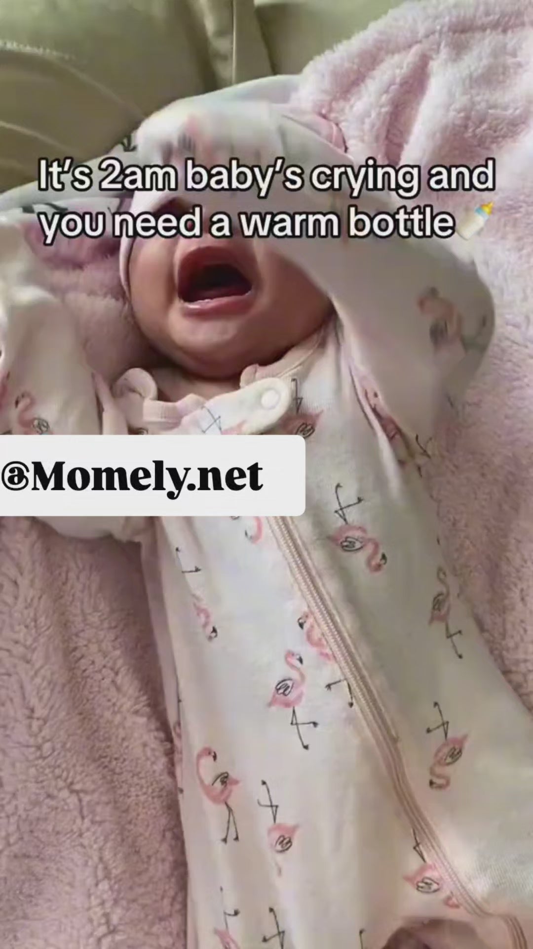 Warm Milk in Minutes, Peace of Mind Everywhere